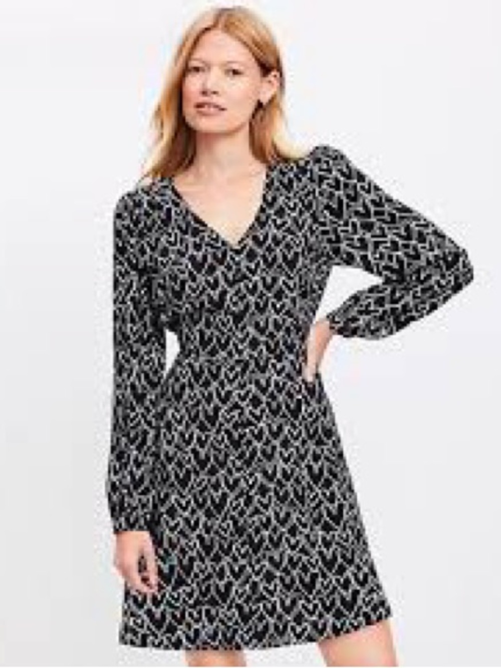 LOFT Black & White V-Neck Long Sleeve Mini Dress